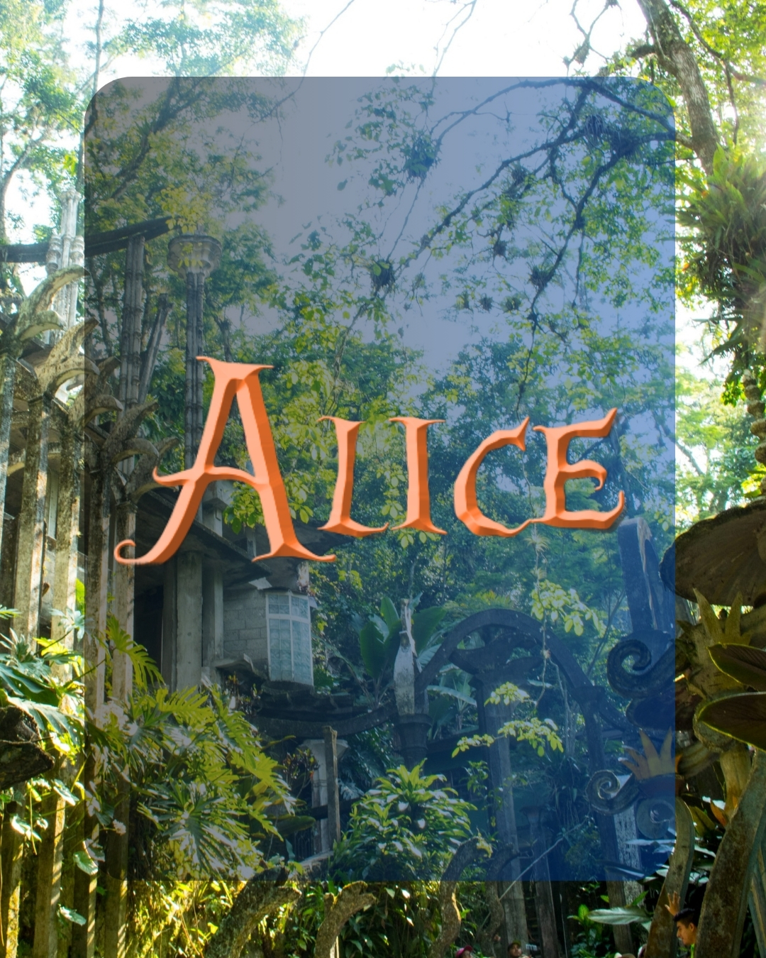 Alice